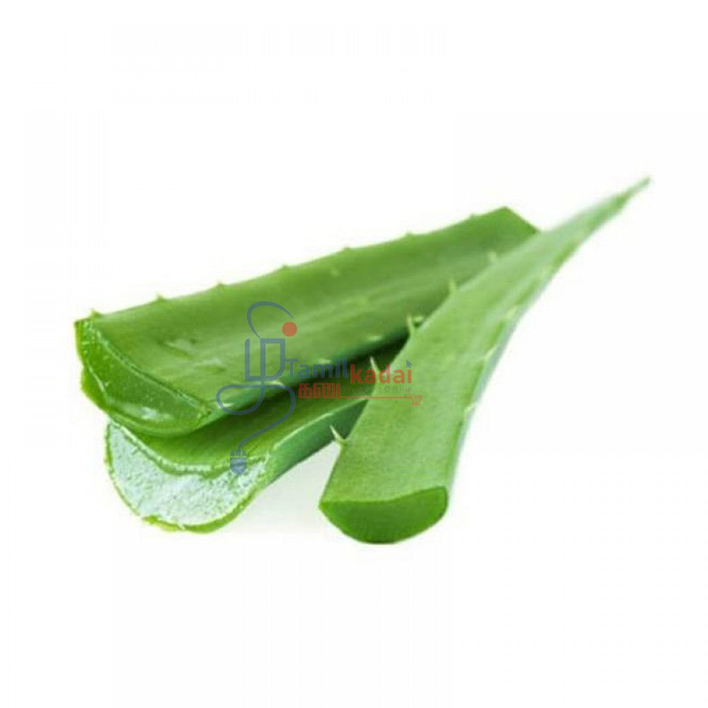 Aloe Vera (Each)