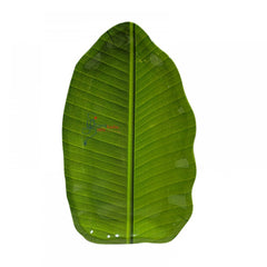 Banana Leaf Plate (45 Cm)