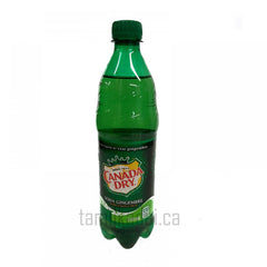 Canada Dry (710ml)