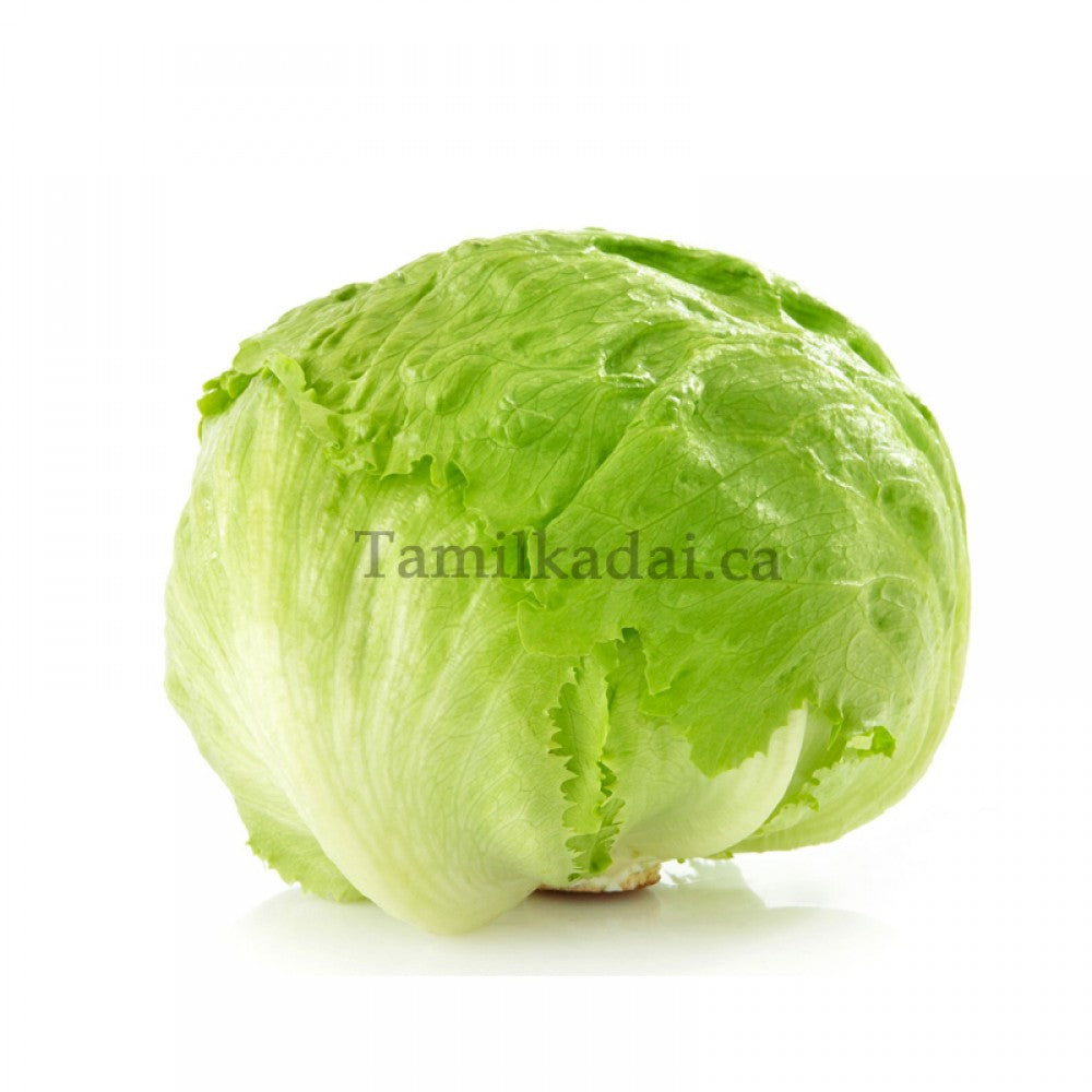 Head Lettuce