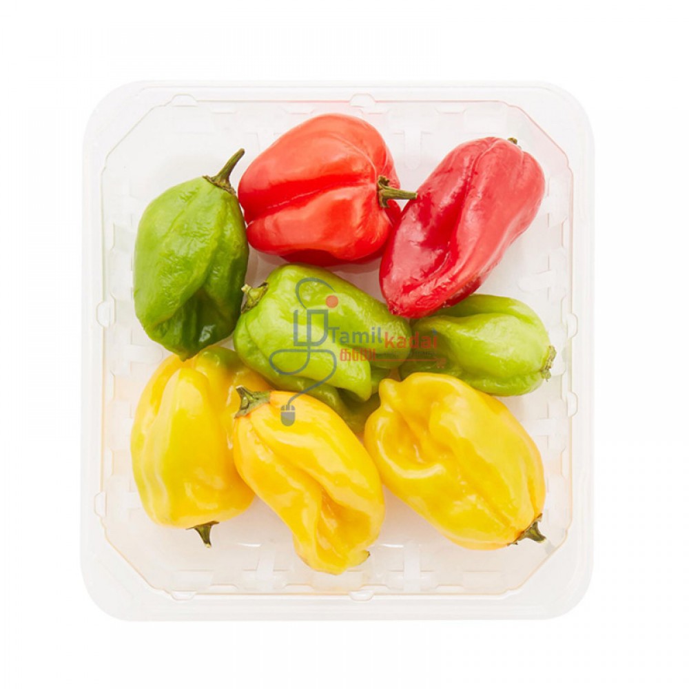 Jamaican Pepper - Red