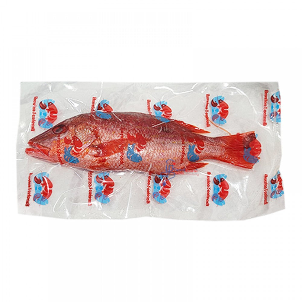 Red Snapper (0.5 - 0.75 Lb) – Frozen - Clean & Ready To Cook