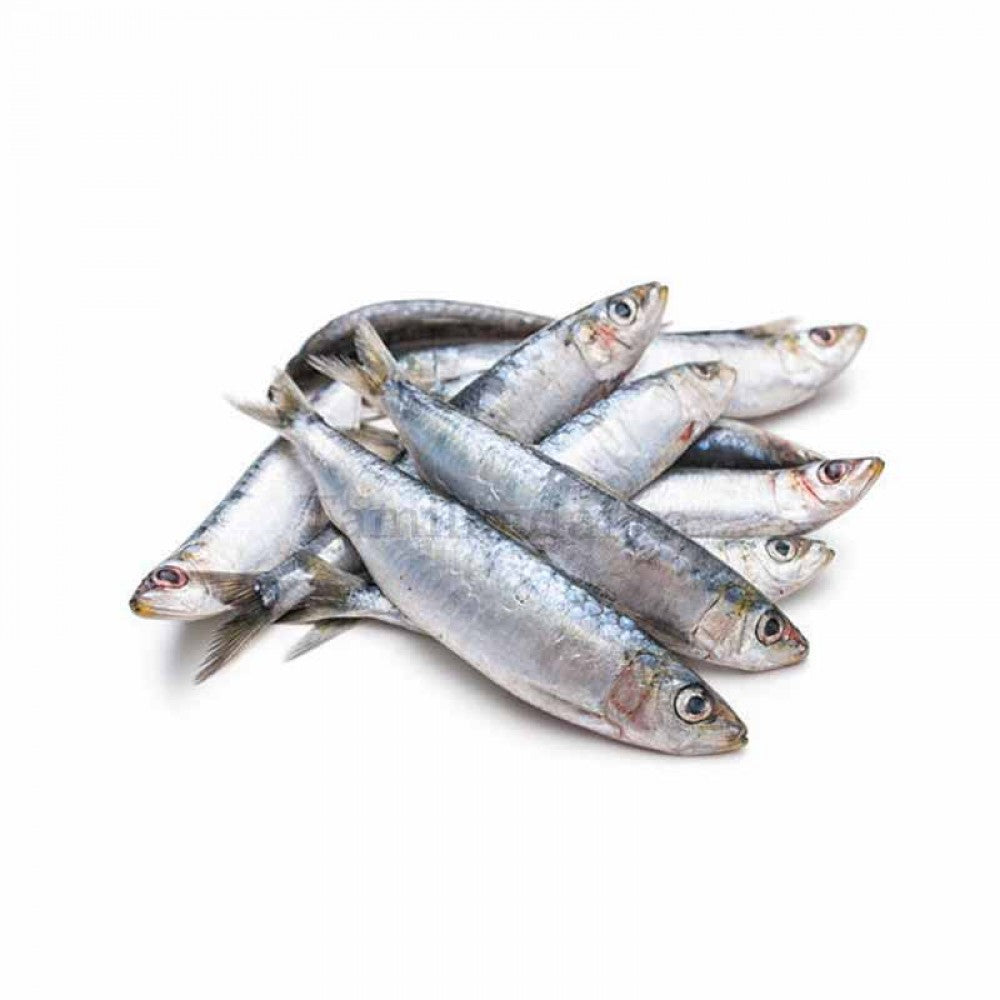 Sardines (1 Lb)