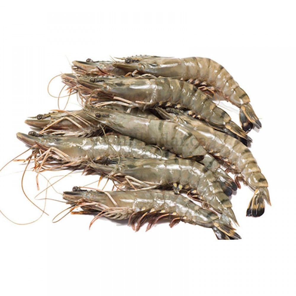 Shrimp Fresh (1 Lb)