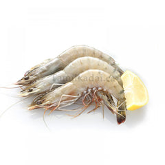 Shrimp White (1 Lb)