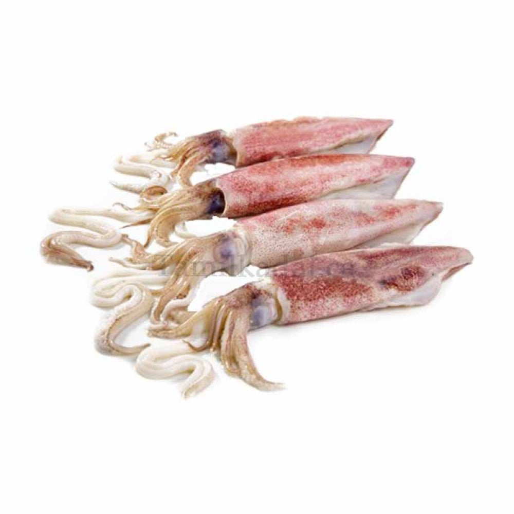 Squid (1 Lb)