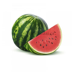 Watermelon (Each)