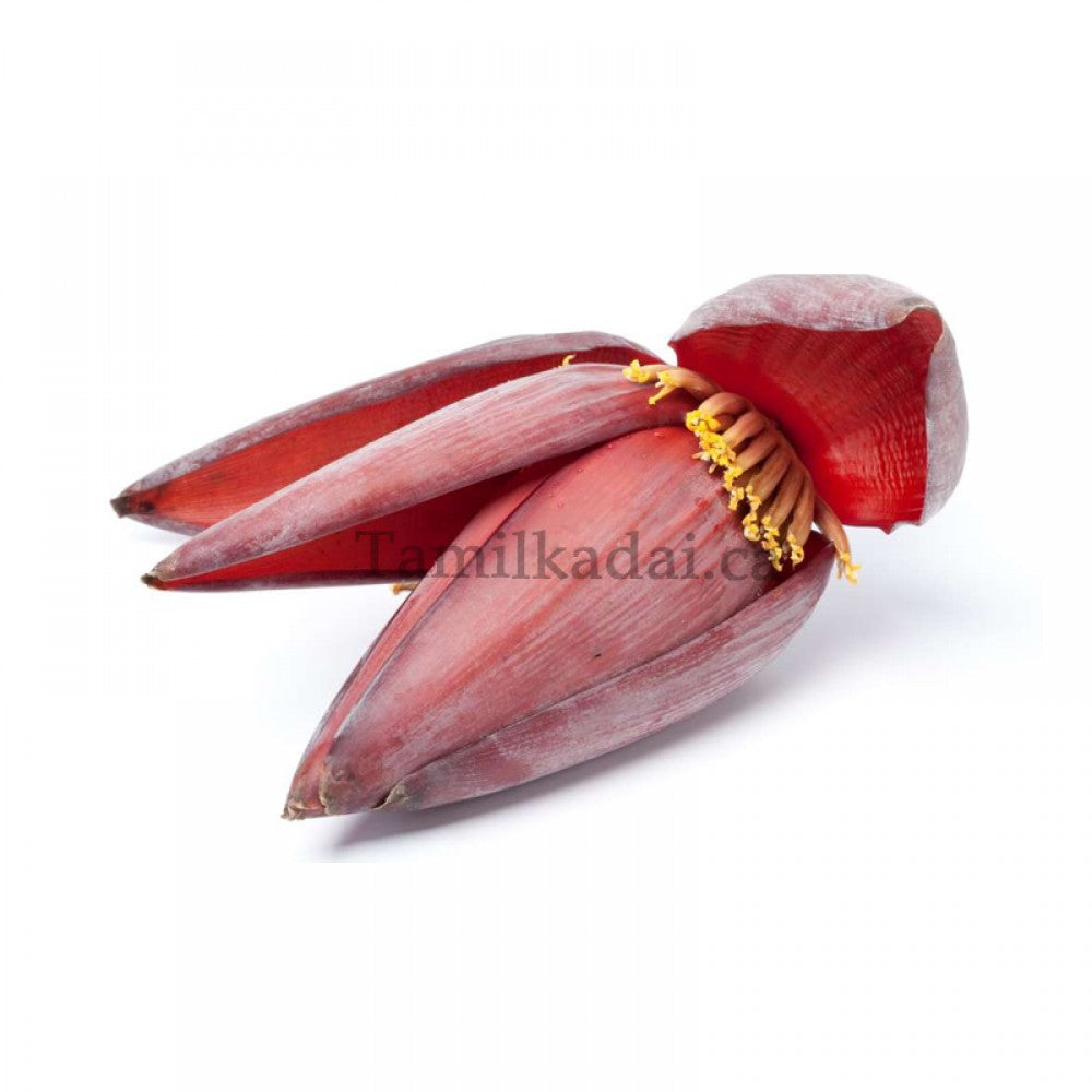 Banana Flower (Each)