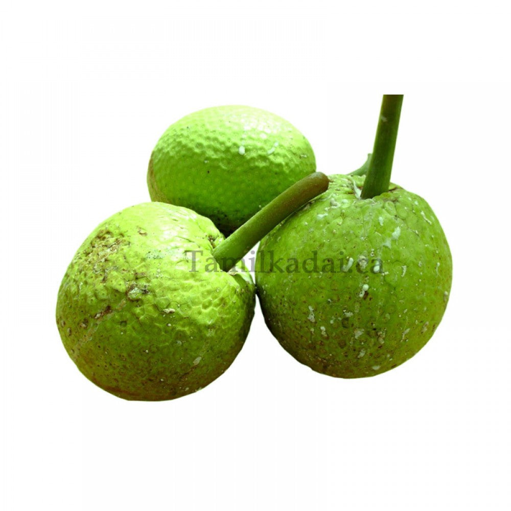 Bread Fruit Whole