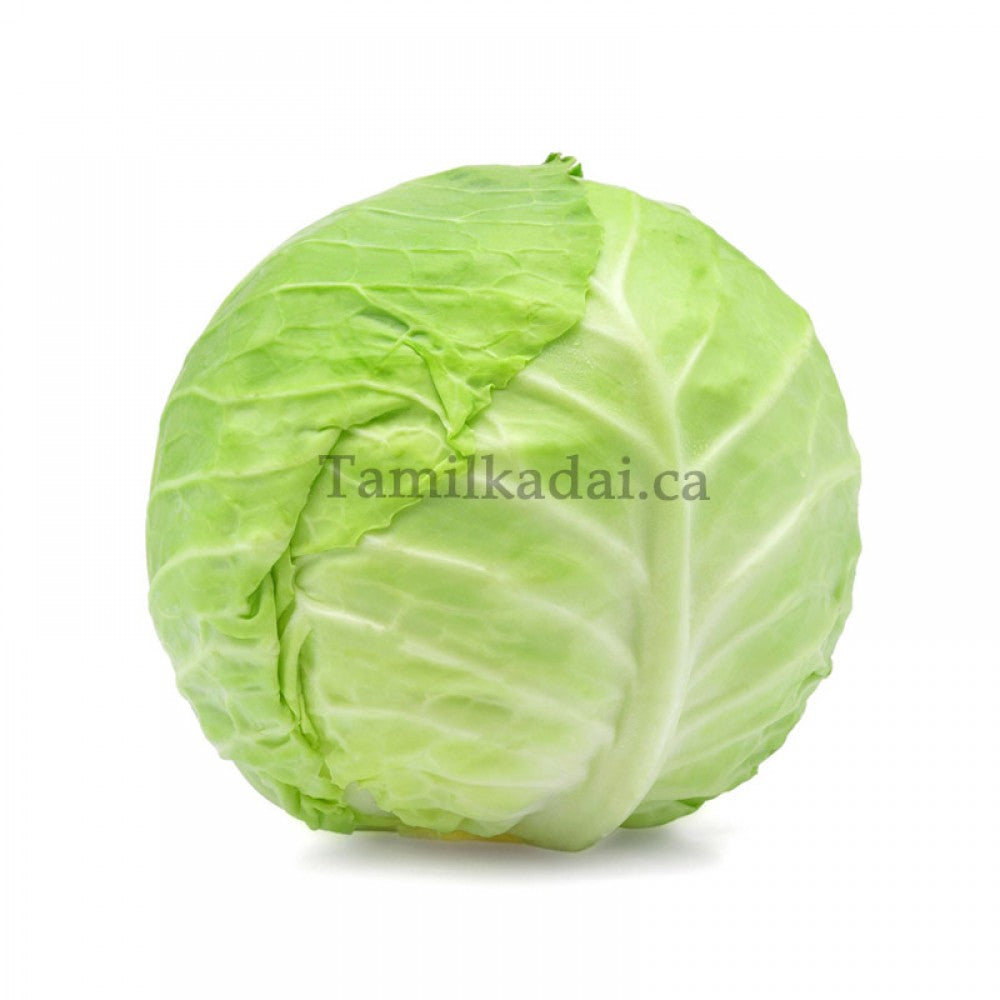 Cabbage - (Each)