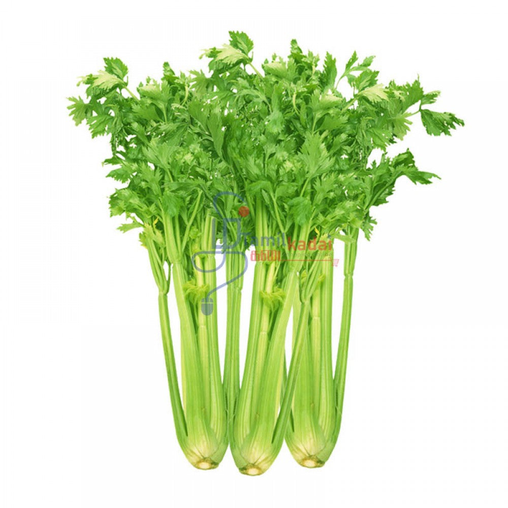 Chinese Celery (Bunch)