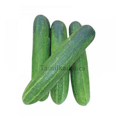 Cucumber (Each)