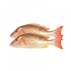 Red Snapper - Clean and Cut Slice Ready to Cook (1 Lb)