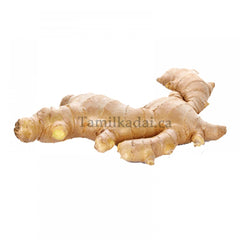 Organic Ginger (1 Lb)