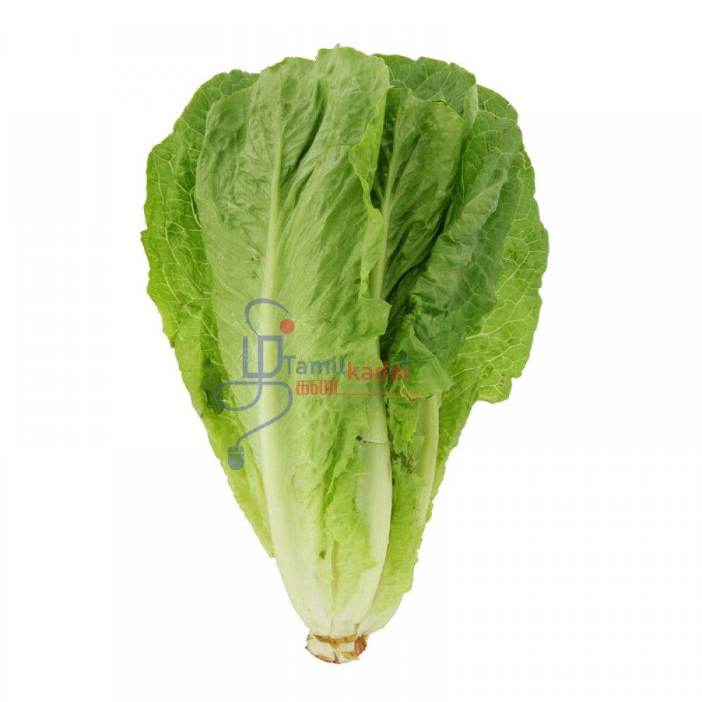 Romaine Lettuce (Each)